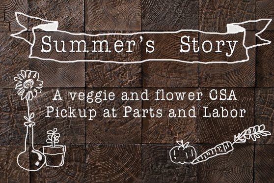 Summers Story CSA front_small